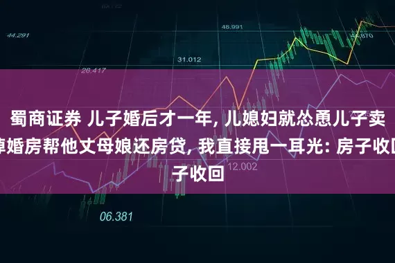 蜀商证券 儿子婚后才一年, 儿媳妇就怂恿儿子卖掉婚房帮他丈母娘还房贷, 我直接甩一耳光: 房子收回