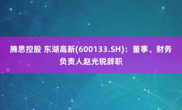 腾思控股 东湖高新(600133.SH)：董事、财务负责人赵光锐辞职