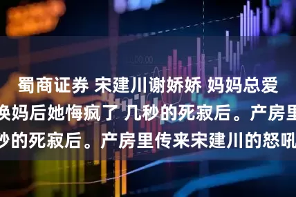 蜀商证券 宋建川谢娇娇 妈妈总爱和我雌竞我重生换妈后她悔疯了 几秒的死寂后。产房里传来宋建川的怒吼：